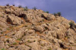 Jericho Spiritual Stones
